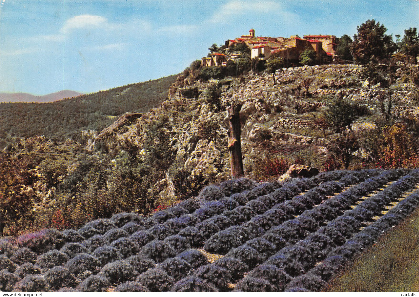 06-GOURDON-N°4242-D/0387 - Gourdon