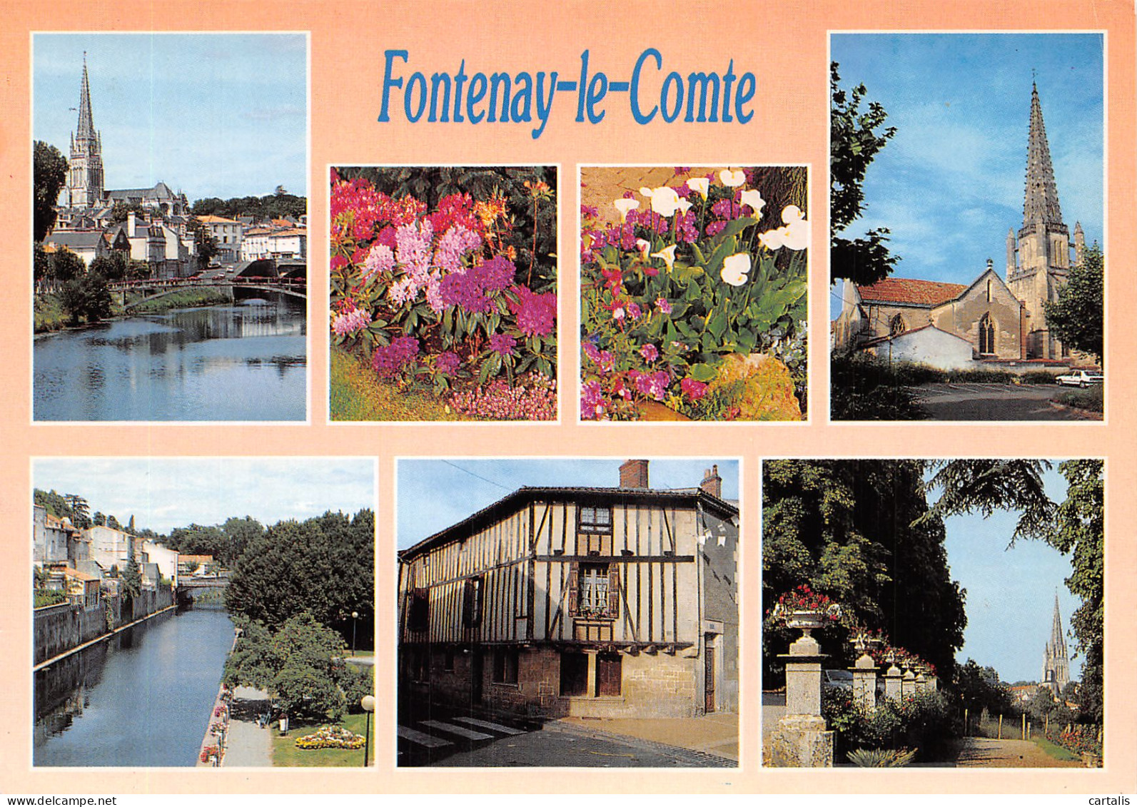 85-FONTENAY LE COMTE-N°4242-C/0365 - Fontenay Le Comte