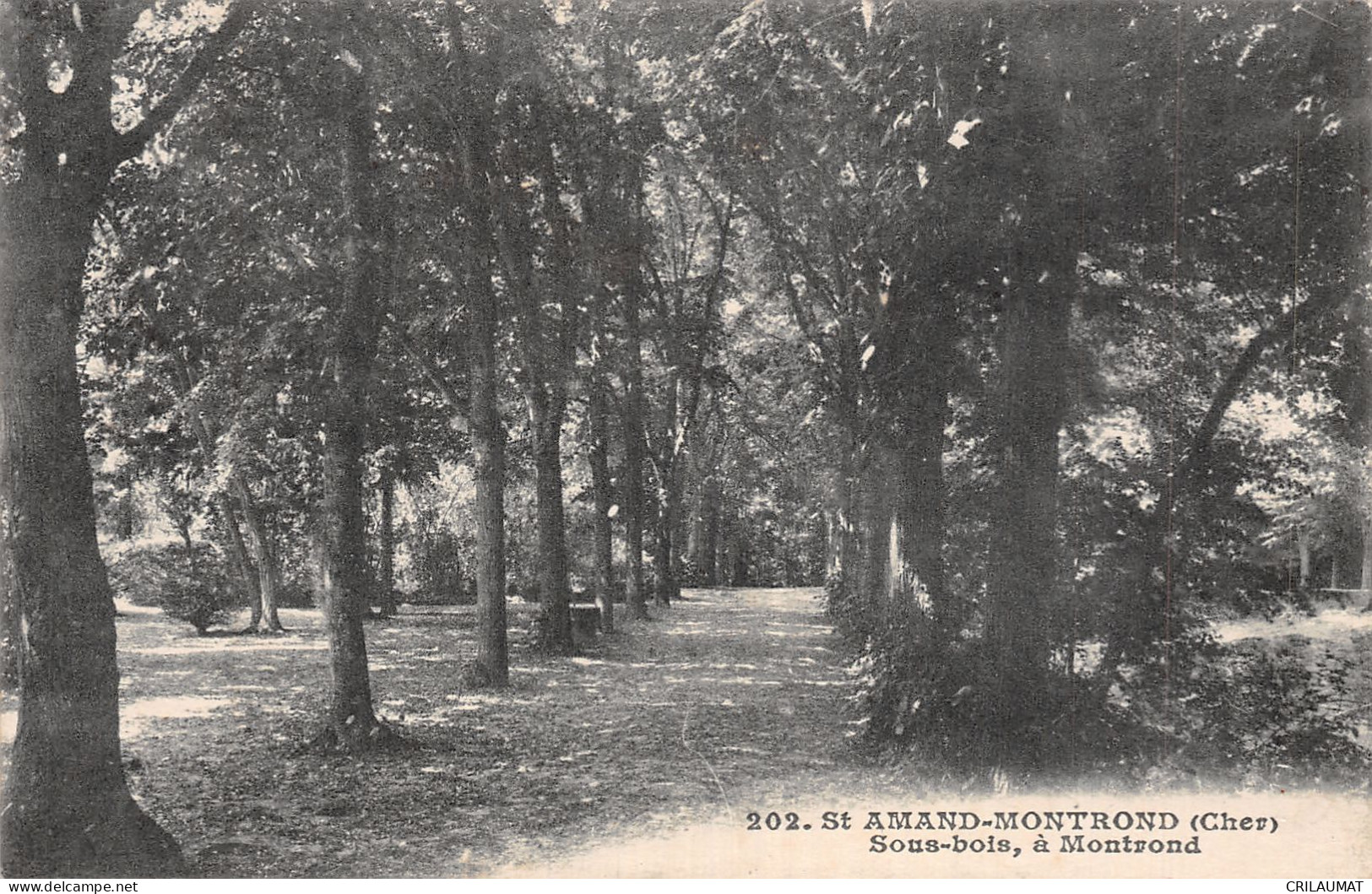 18-SAINT AMAND MONTROND-N°T5052-B/0267 - Saint-Amand-Montrond