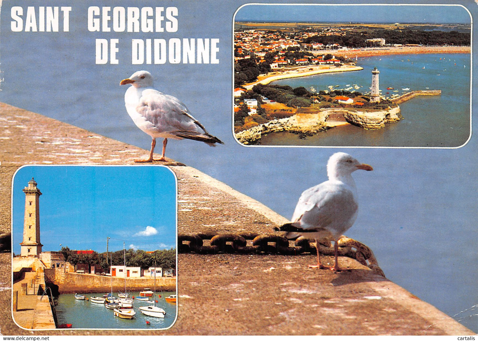 17-SAINT GEORGES DE DIDONNE-N°4243-B/0307 - Saint-Georges-de-Didonne