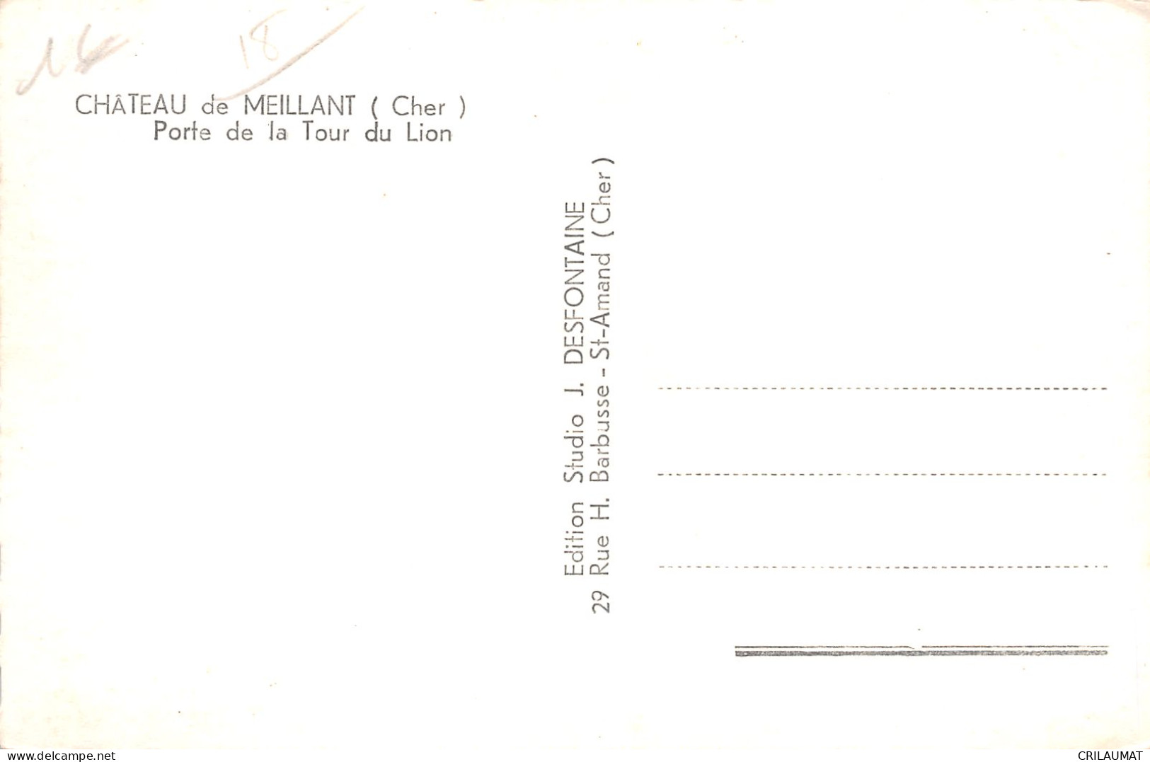 18-MEILLANT LE CHATEAU-N°T5052-C/0161 - Meillant