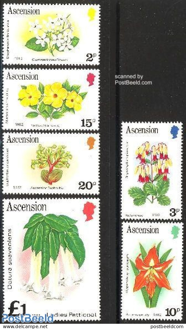 Ascension 1982 Definitives 6v (with Year 1982), Mint NH, Nature - Flowers & Plants - Ascensión