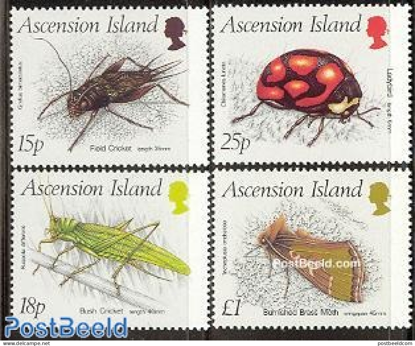 Ascension 1988 Insects 4v, Mint NH, Nature - Insects - Ascensione