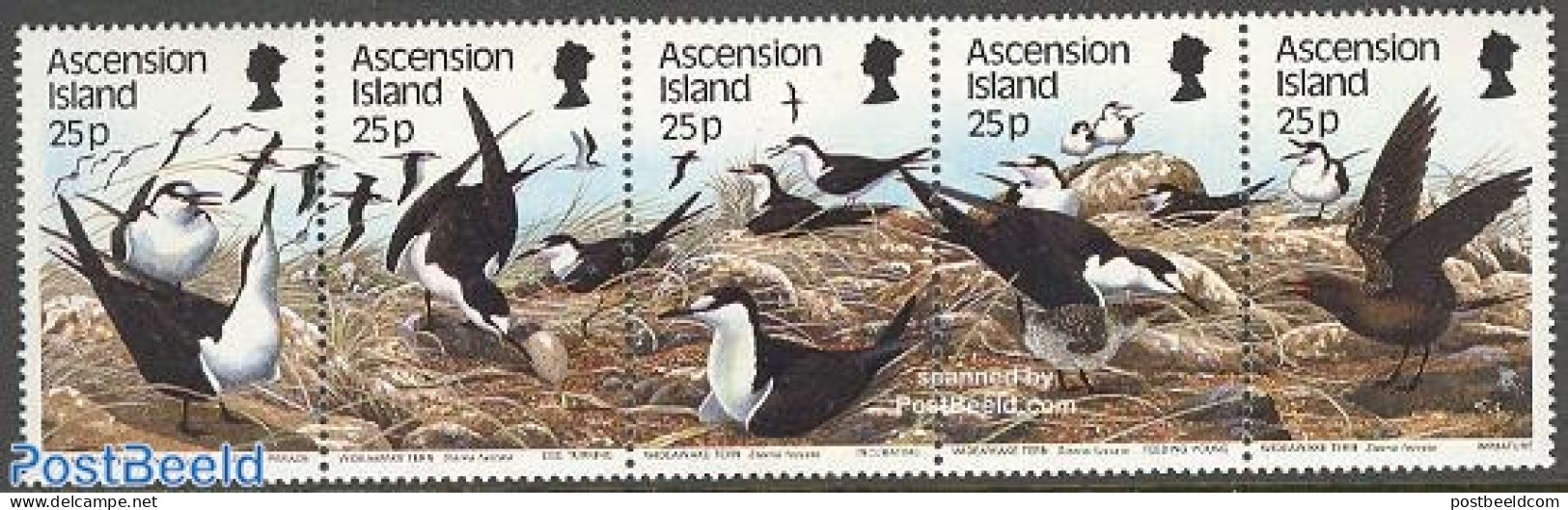 Ascension 1988 Sea Birds (II) 5v [::::], Mint NH, Nature - Birds - Ascensione