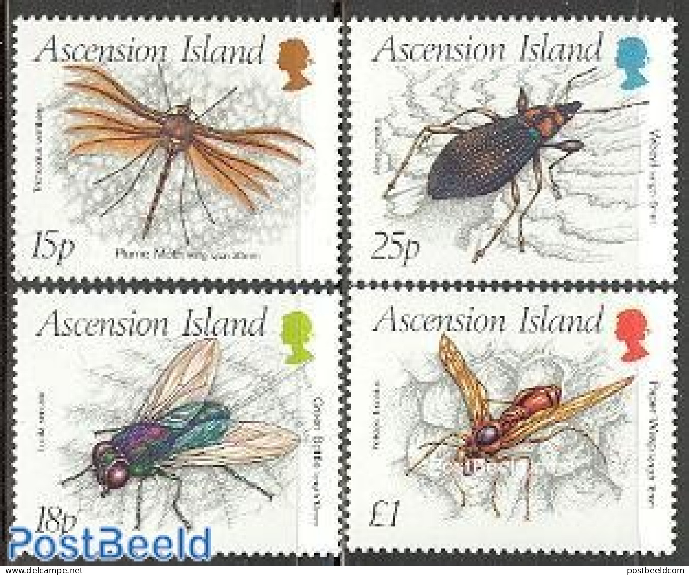 Ascension 1989 Insects 4v, Mint NH, Nature - Insects - Ascension (Ile De L')