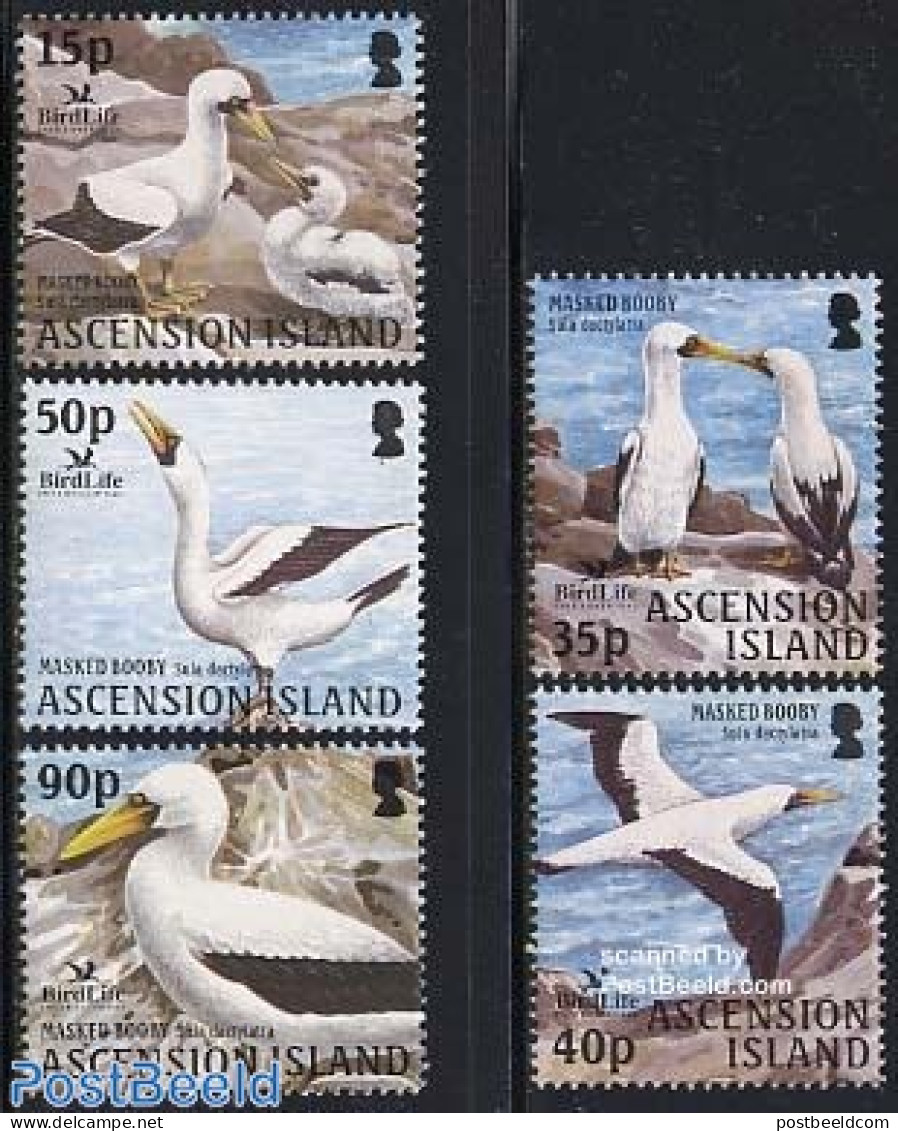 Ascension 2004 Birdlife 5v, Mint NH, Nature - Birds - Ascension