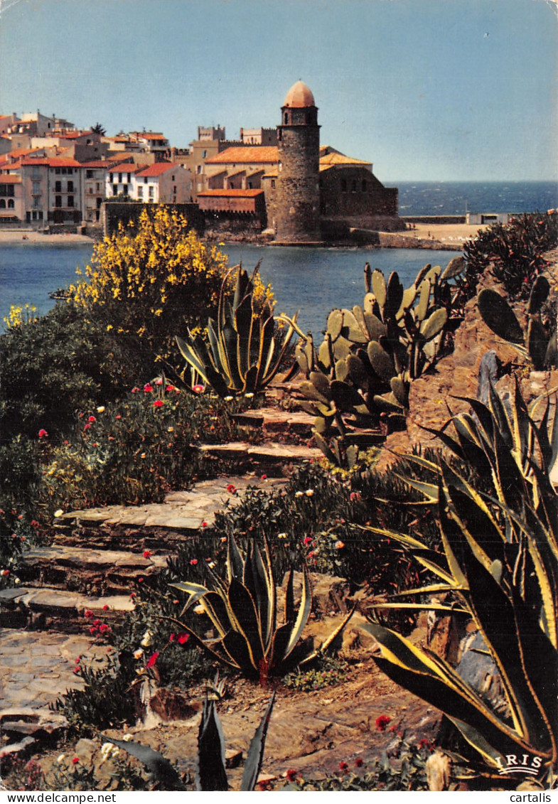 66-COLLIOURE-N°4243-D/0139 - Collioure