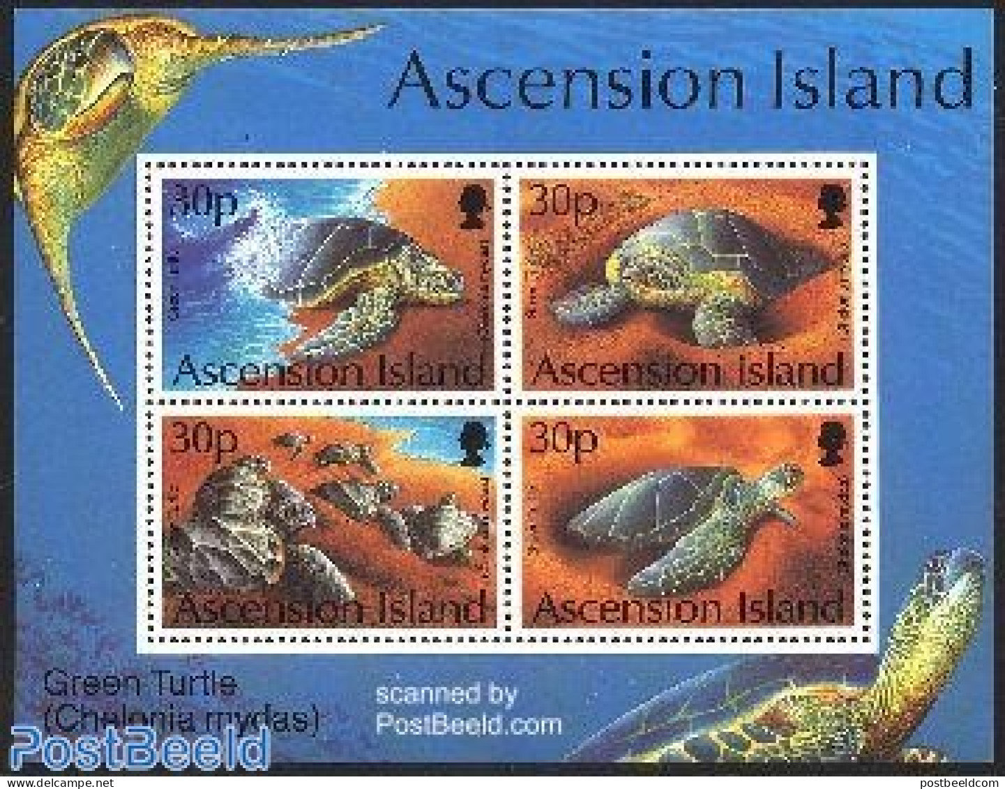 Ascension 1994 Turtles S/s, Mint NH, Nature - Reptiles - Turtles - Ascensión