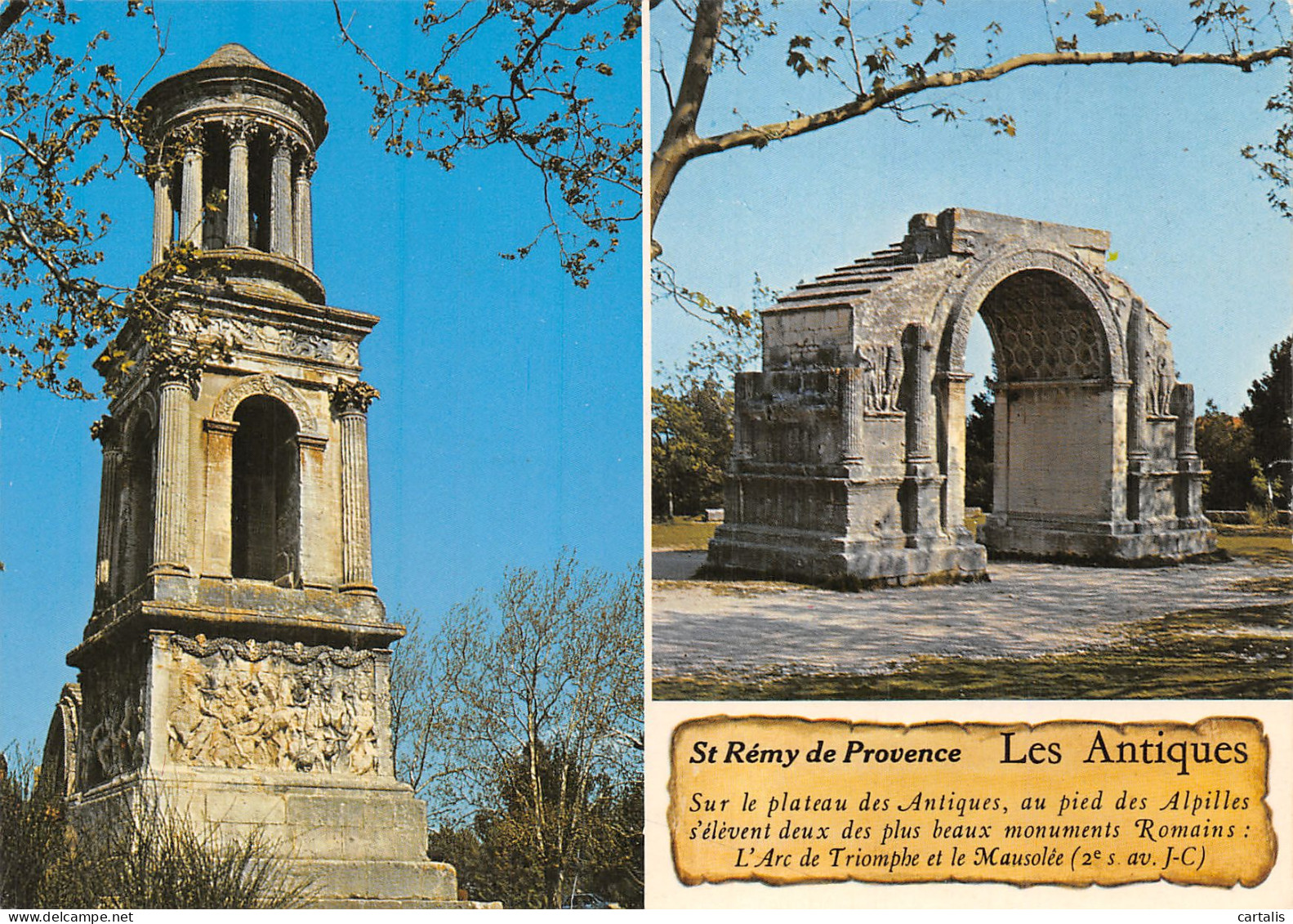 13-SAINT REMY DE PROVENCE-N°4244-C/0241 - Saint-Remy-de-Provence