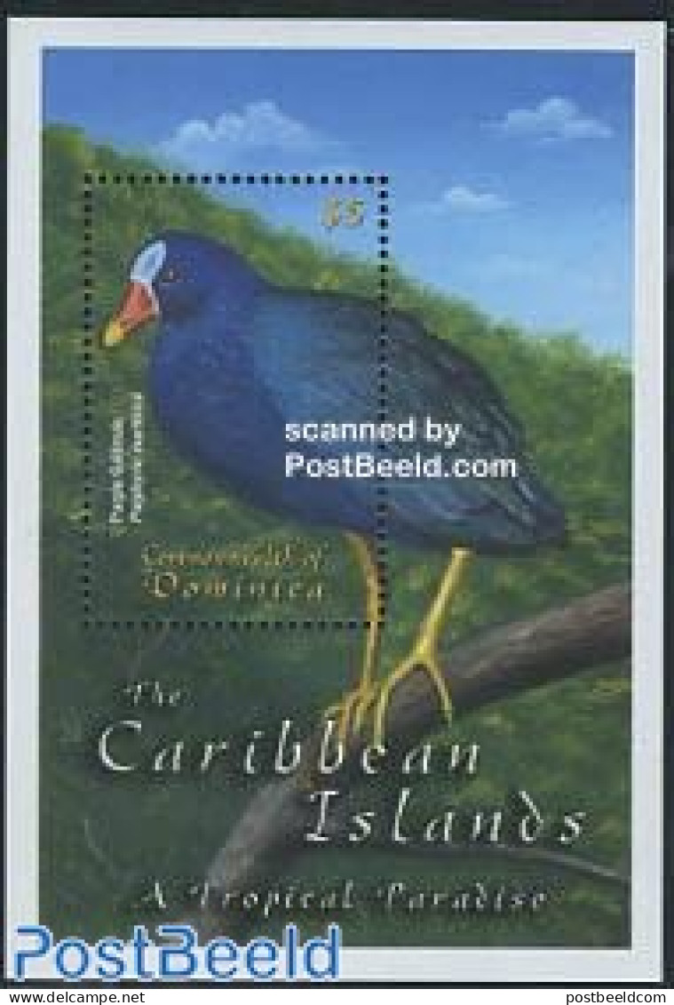 Dominica 2001 Fauna S/s, Porphyrio Martinica, Mint NH, Nature - Birds - Repubblica Domenicana
