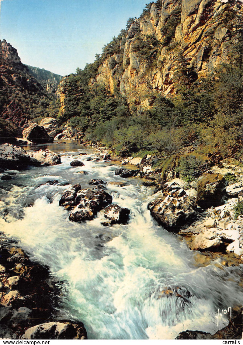 48-LES GORGES DU TARN-N°4244-B/0095 - Autres & Non Classés