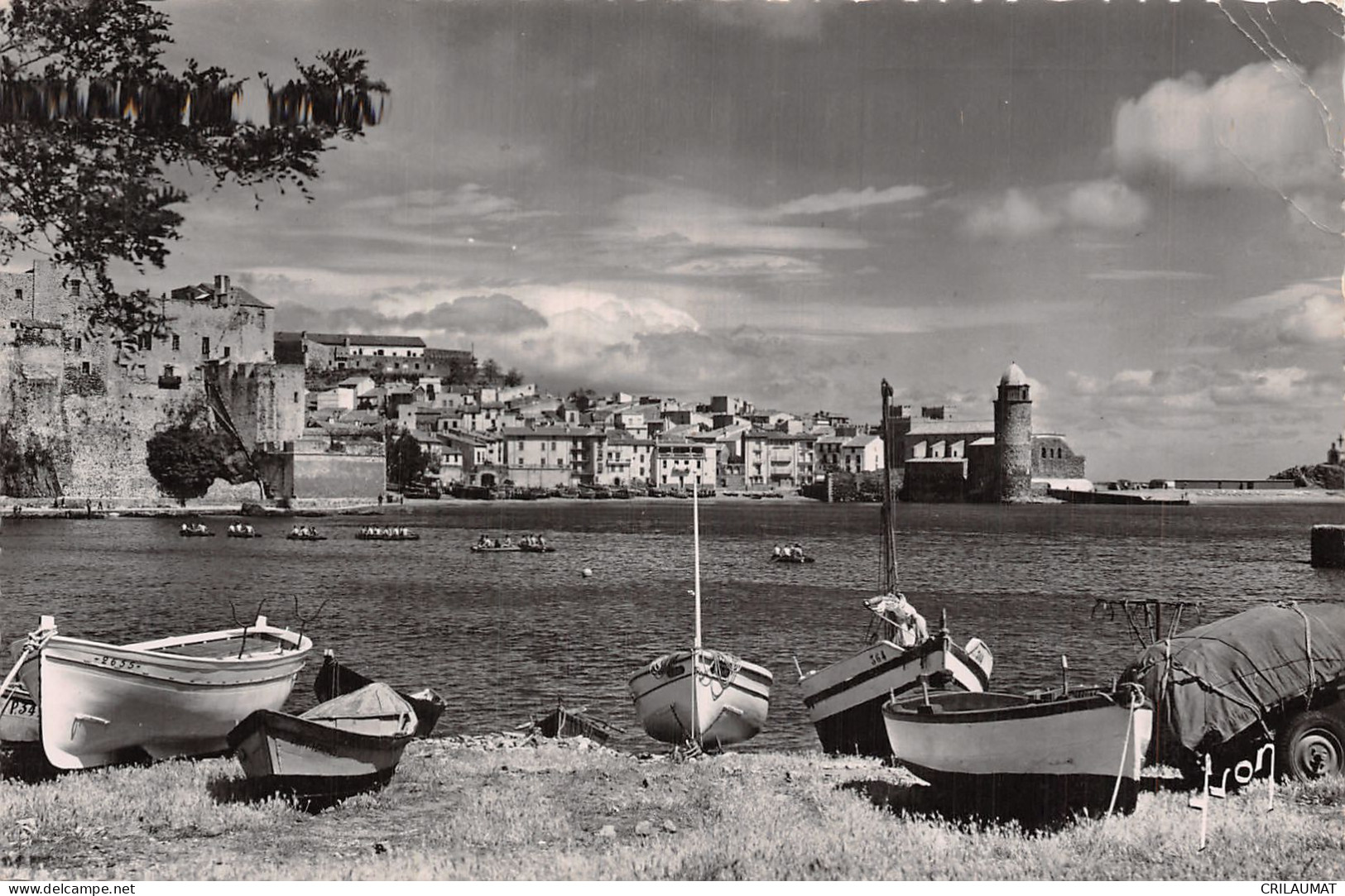 66-COLLIOURE-N°T5053-C/0037 - Collioure