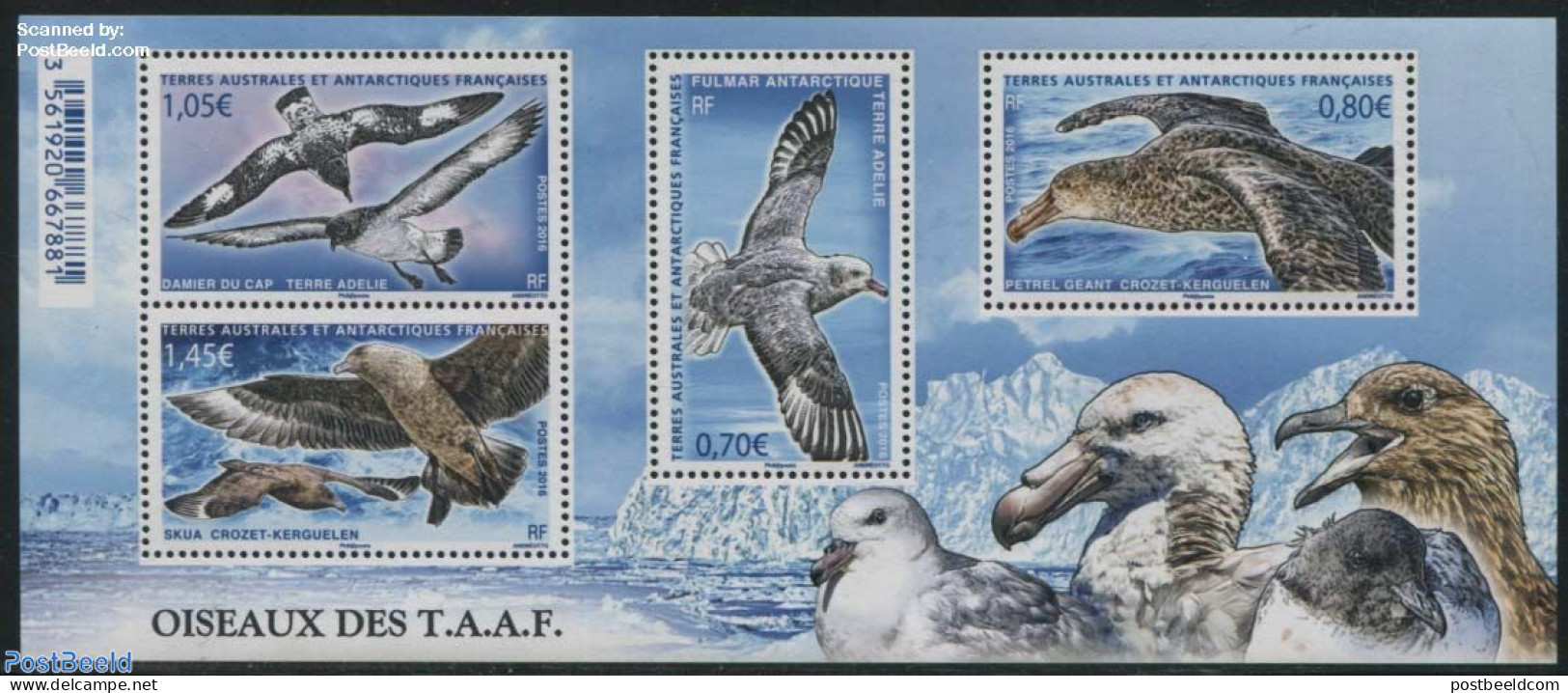 French Antarctic Territory 2016 Birds S/s, Mint NH, Nature - Birds - Birds Of Prey - Nuevos