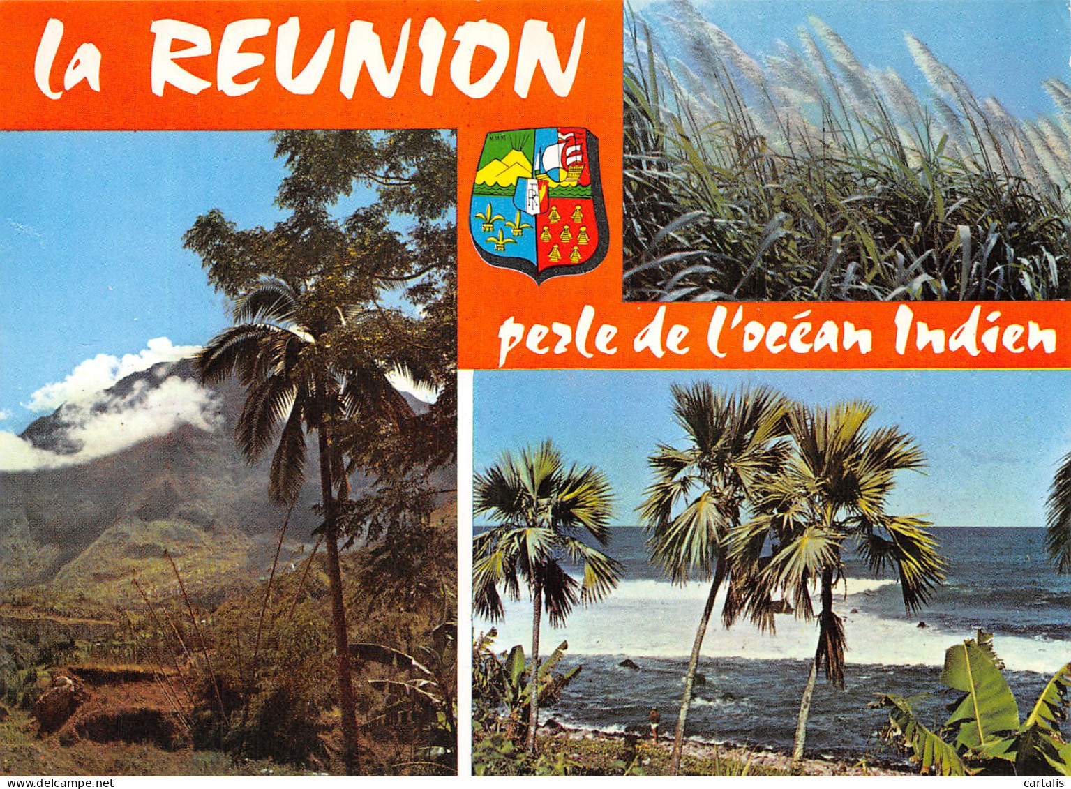 974-LA REUNION-N°4245-B/0367 - Sonstige & Ohne Zuordnung