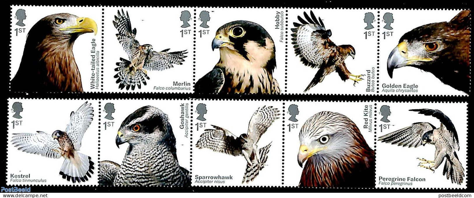 Great Britain 2019 Birds Of Prey 10v (2x[::::]), Mint NH - Ungebraucht