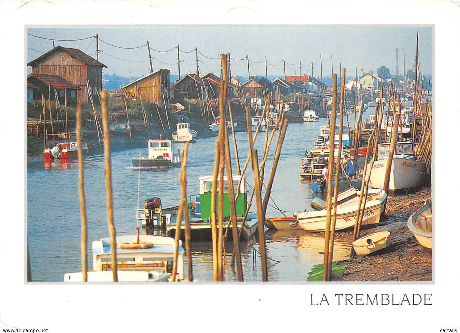 17-LA TREMBLADE-N°4246-A/0247 - La Tremblade