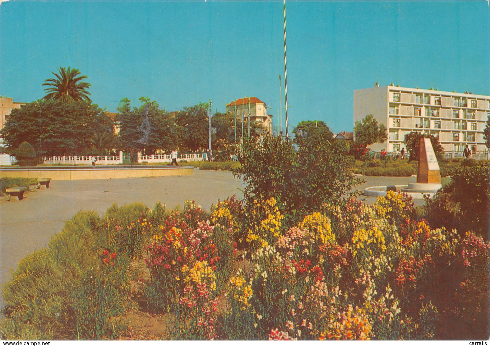 ALG-ALGERIE SIDI BEL ABBES-N°4246-D/0333 - Sidi-bel-Abbes