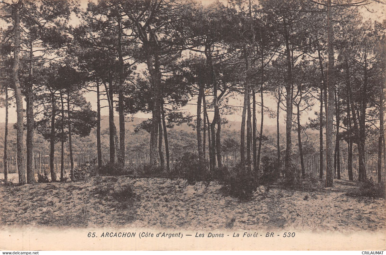 33-ARCACHON-N°T5054-E/0121 - Arcachon