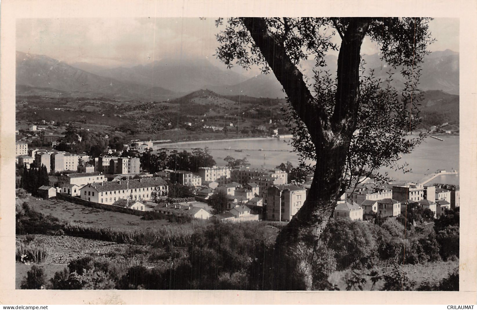 20-AJACCIO-N°T5054-D/0245 - Ajaccio