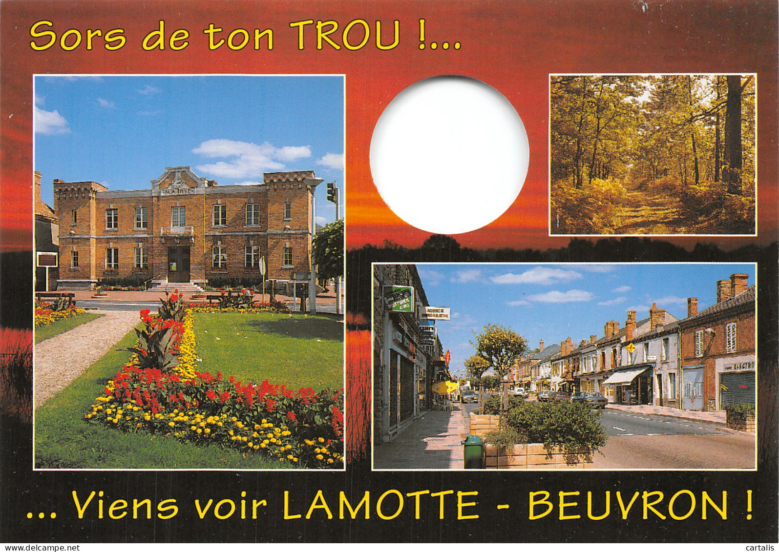41-LAMOTTE BEUVRON-N°4247-A/0231 - Lamotte Beuvron