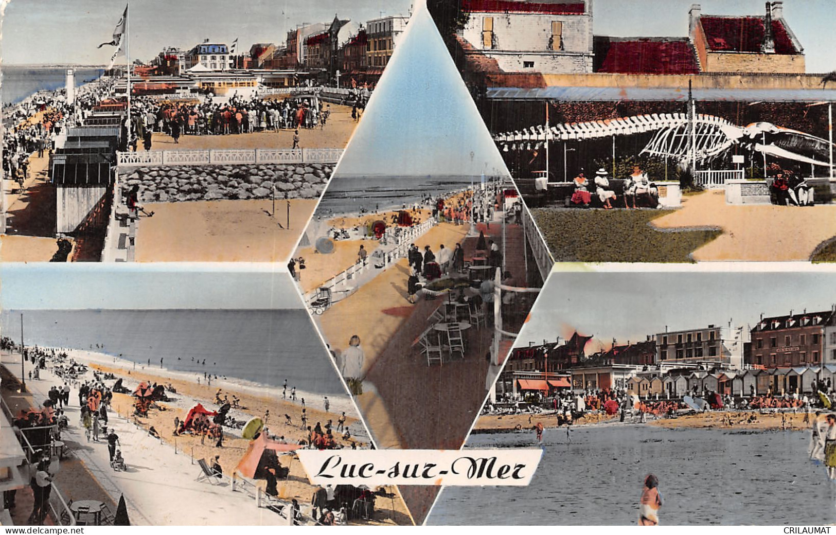 14-LUC SUR MER-N°T5055-A/0039 - Luc Sur Mer