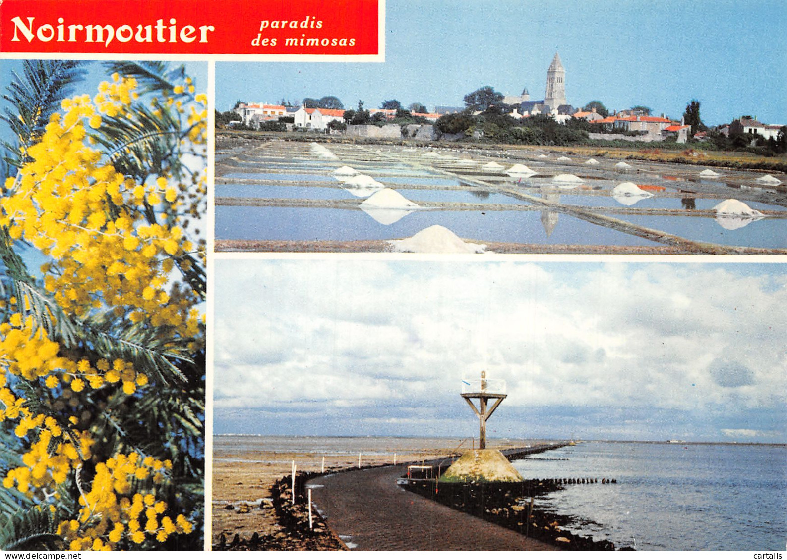 85-NOIRMOUTIER-N°4247-D/0163 - Noirmoutier