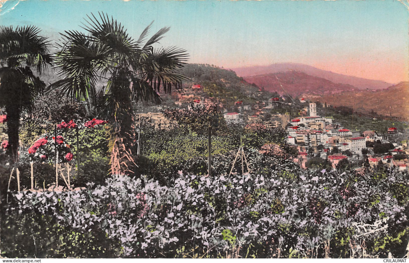 06-GRASSE-N°T5055-D/0017 - Grasse