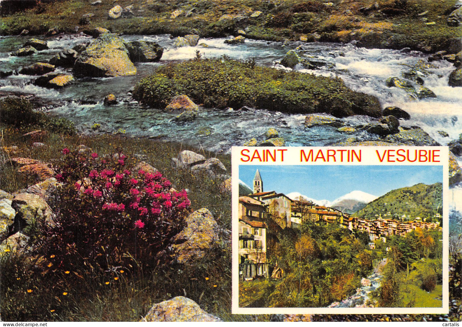 06-SAINT MARTIN VESUBIE-N°4248-C/0043 - Saint-Martin-Vésubie