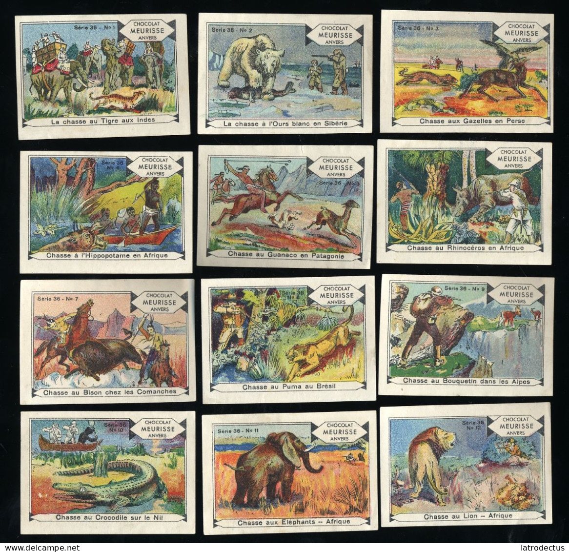 Meurisse - Ca 1930 - 36 - Chasse, Hunting - Full Serie - Sonstige & Ohne Zuordnung