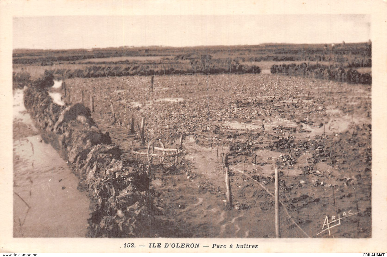 17-ILE D OLERON PARC A HUITRES-N°T5056-B/0127 - Ile D'Oléron