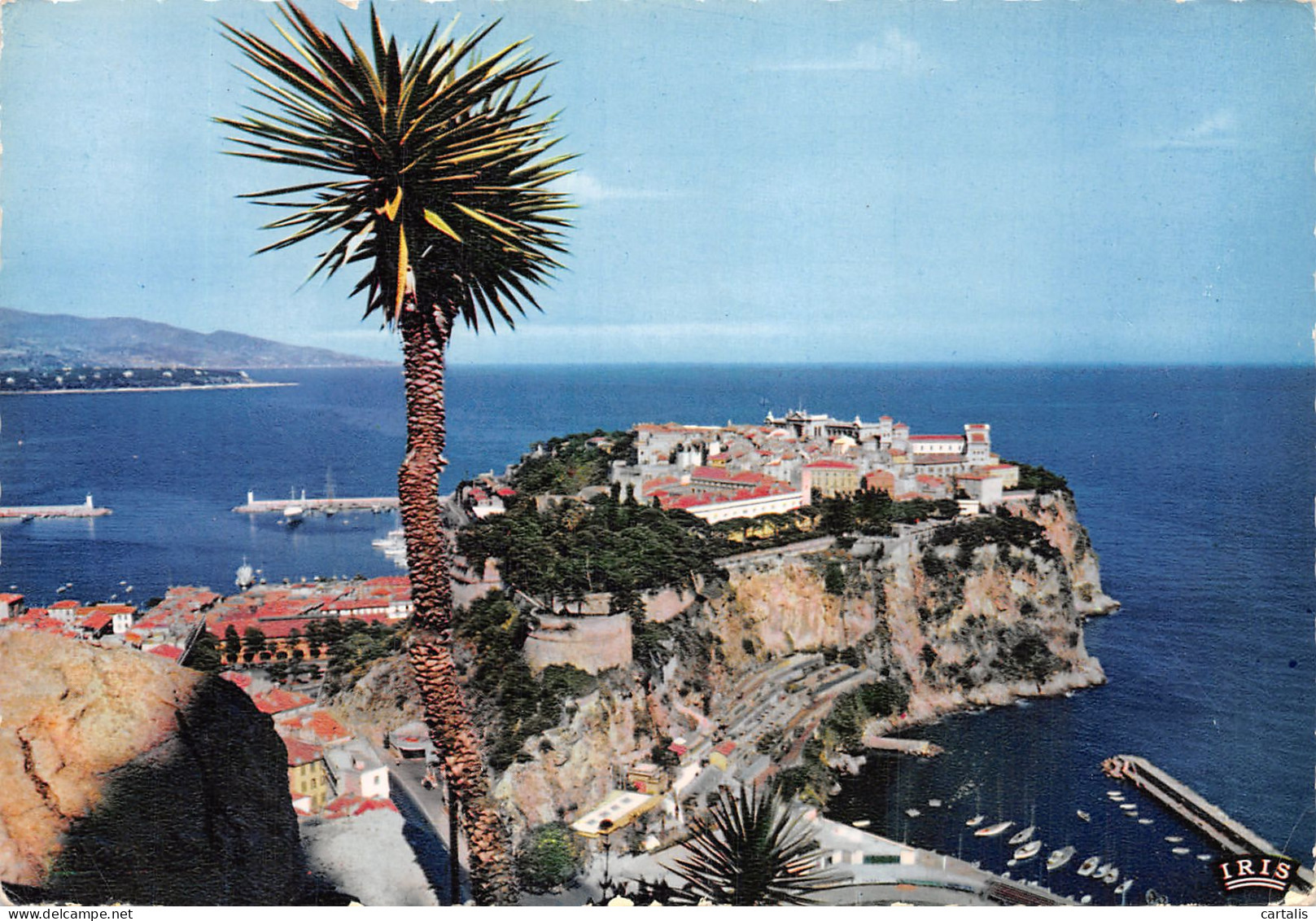 06-MONACO-N°4249-D/0351 - Autres & Non Classés