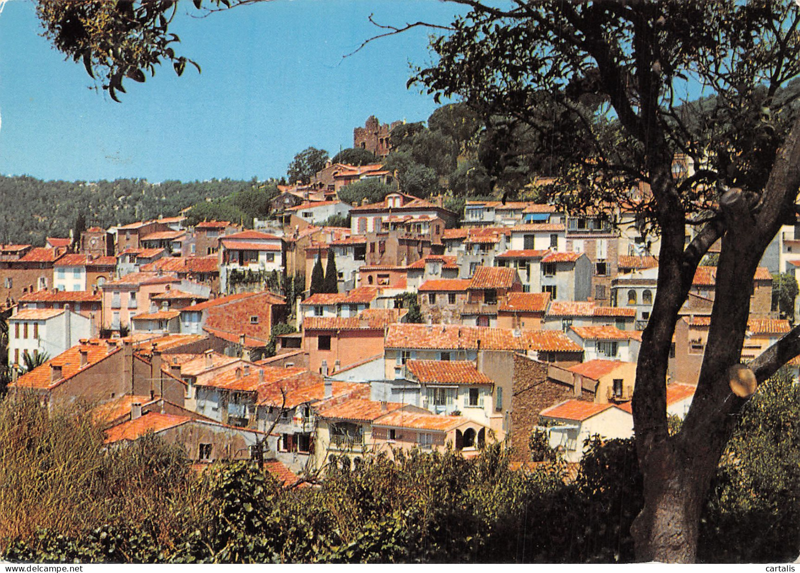 83-BORMES LES MIMOSAS-N°4249-D/0193 - Bormes-les-Mimosas