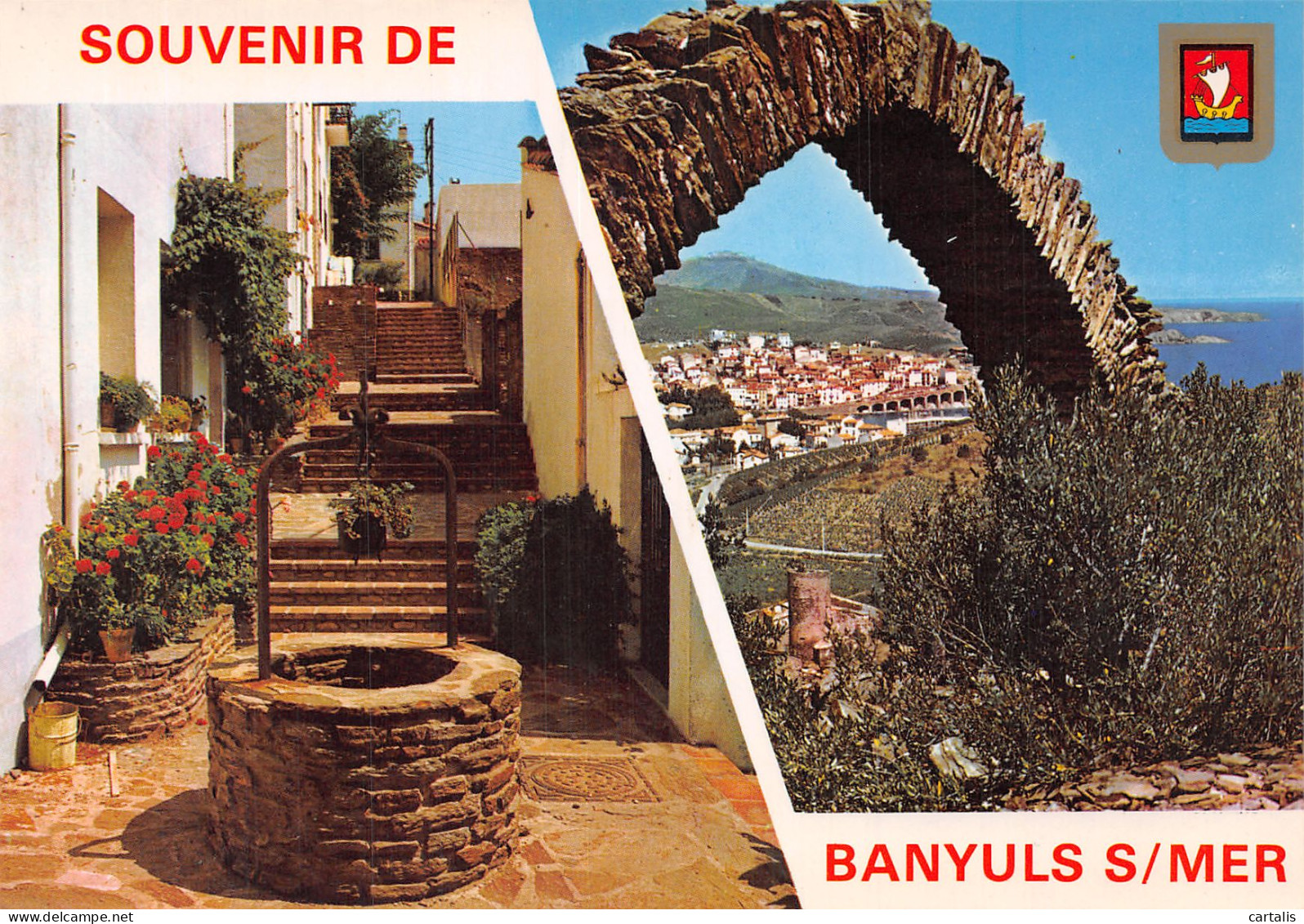 66-BANYULS SUR MER-N°4250-C/0307 - Banyuls Sur Mer