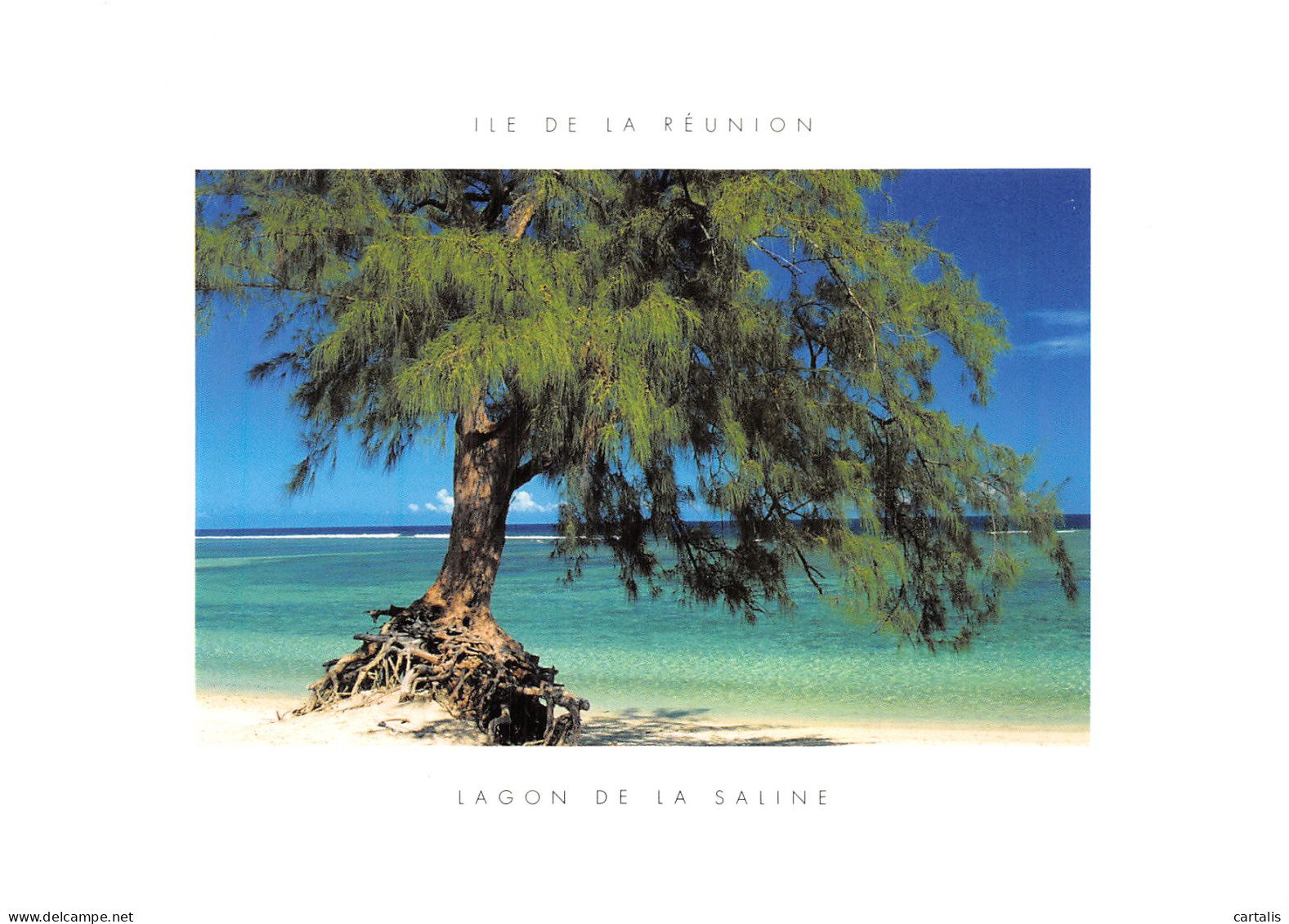 974-ILE DE LA REUNION LAGON DE LA SALINE-N°4250-C/0169 - Other & Unclassified