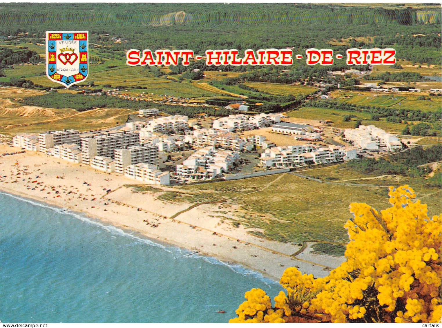 85-SAINT HILAIRE DE RIEZ-N°4251-B/0113 - Saint Hilaire De Riez