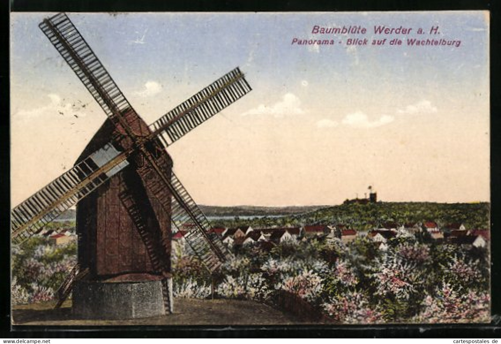 AK Werder A. H., Baumblüte, Panorama Blick Auf Die Wachtelburg U. Windmühle  - Windmühlen