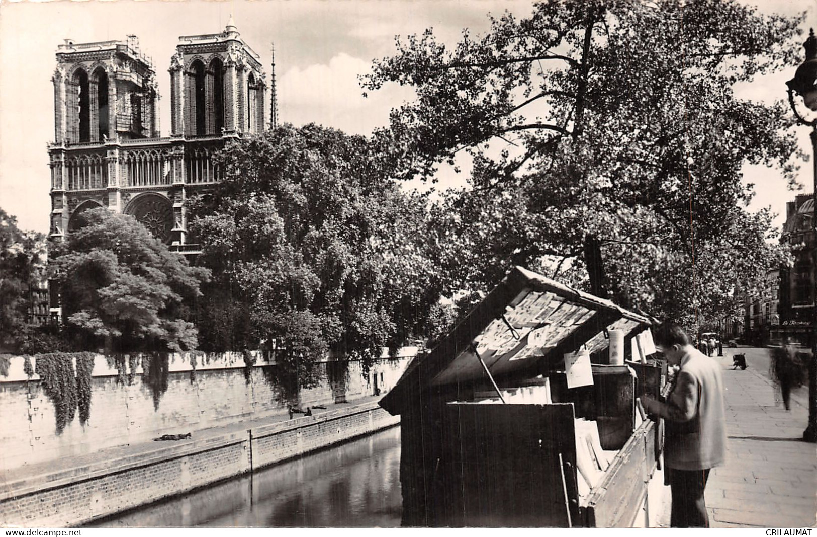 75-PARIS NOTRE DAME-N°T5057-D/0031 - Notre Dame Von Paris