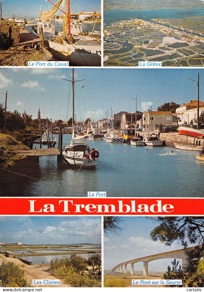 17-LA TREMBLADE-N°4252-A/0207 - La Tremblade