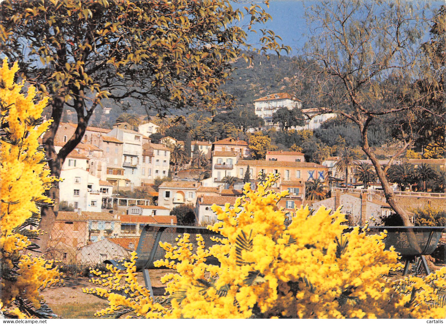 83-BORMES LES MIMOSAS-N°4252-C/0349 - Bormes-les-Mimosas