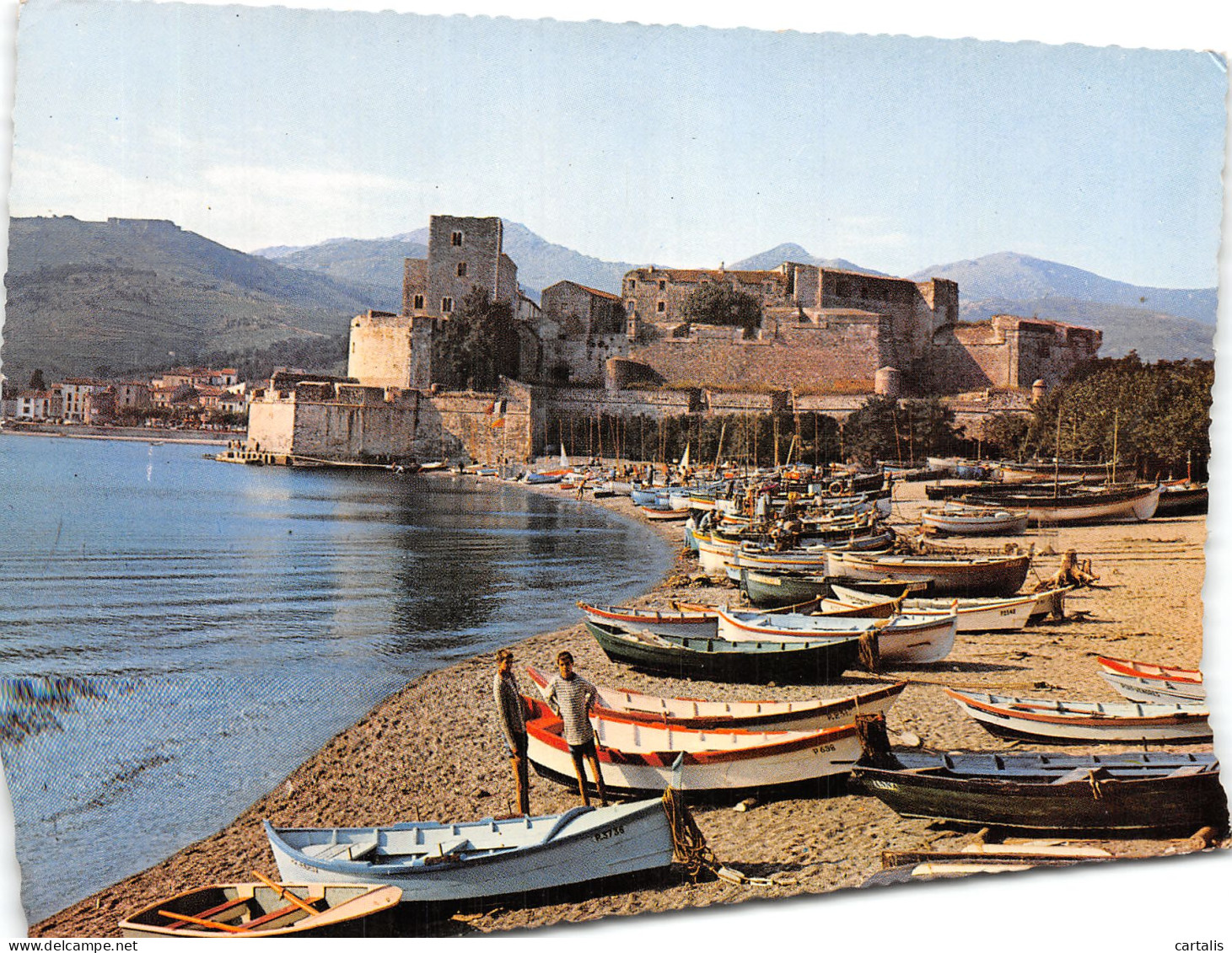 66-COLLIOURE-N°4253-A/0223 - Collioure