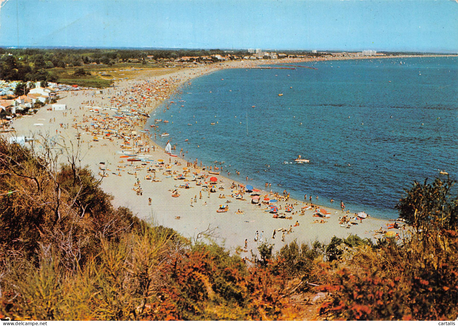 66-ARGELES SUR MER-N°4252-D/0251 - Argeles Sur Mer