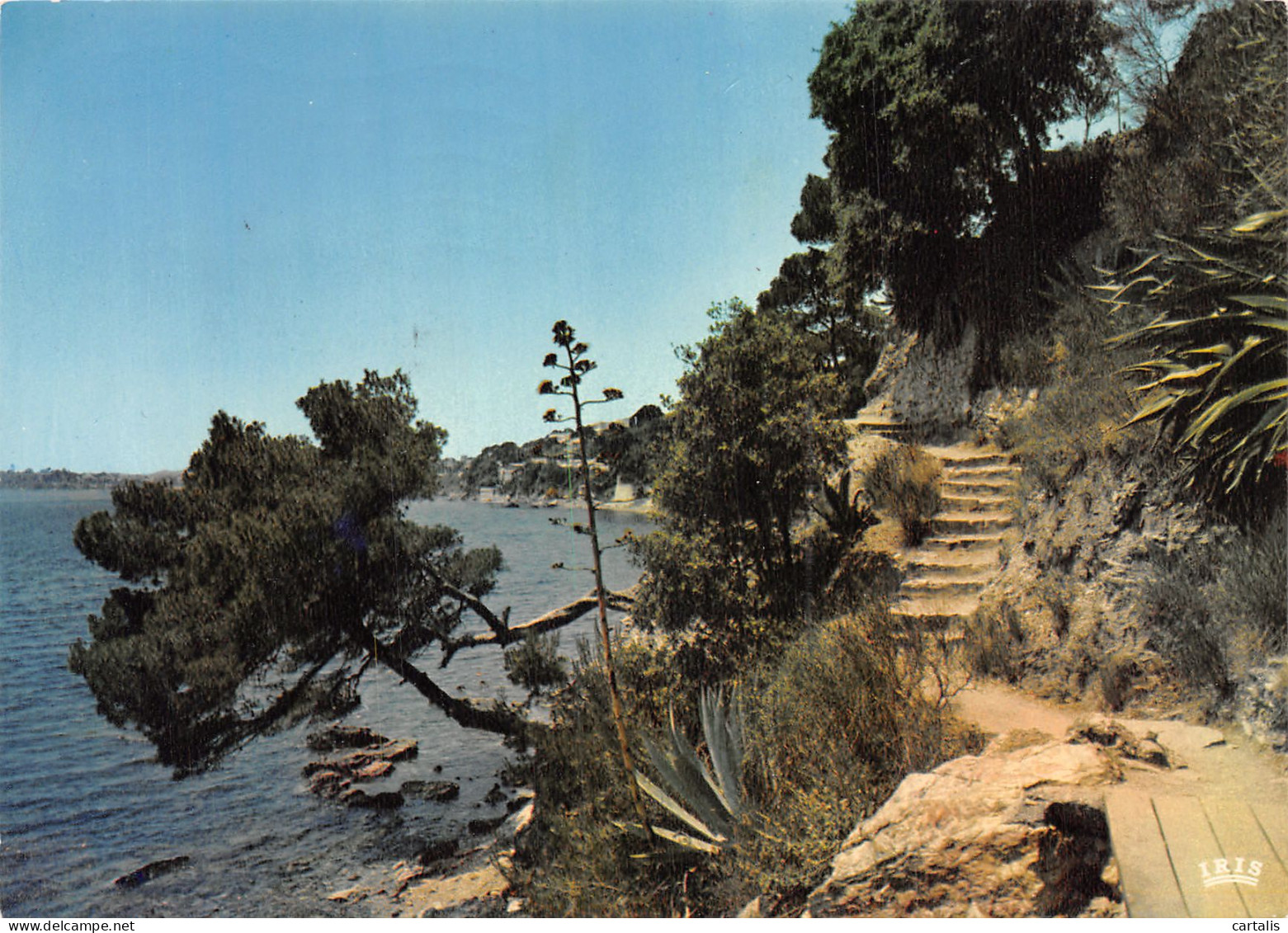 83-TOULON-N°4253-B/0335 - Toulon