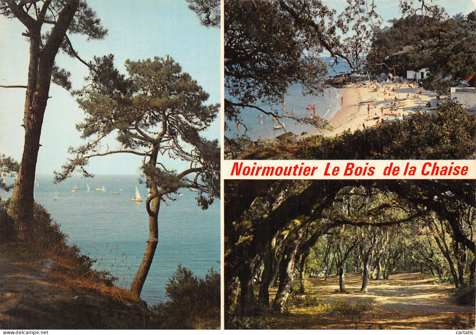 85-NOIRMOUTIER-N°4253-B/0341 - Noirmoutier