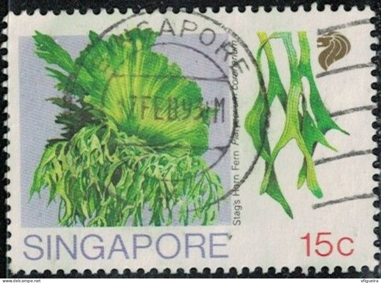 Singapour 1990 Oblitéré Used Plante Platycerium Coronarium Espèce épiphyte De Fougère Y&T SG 594 SU - Singapore (1959-...)