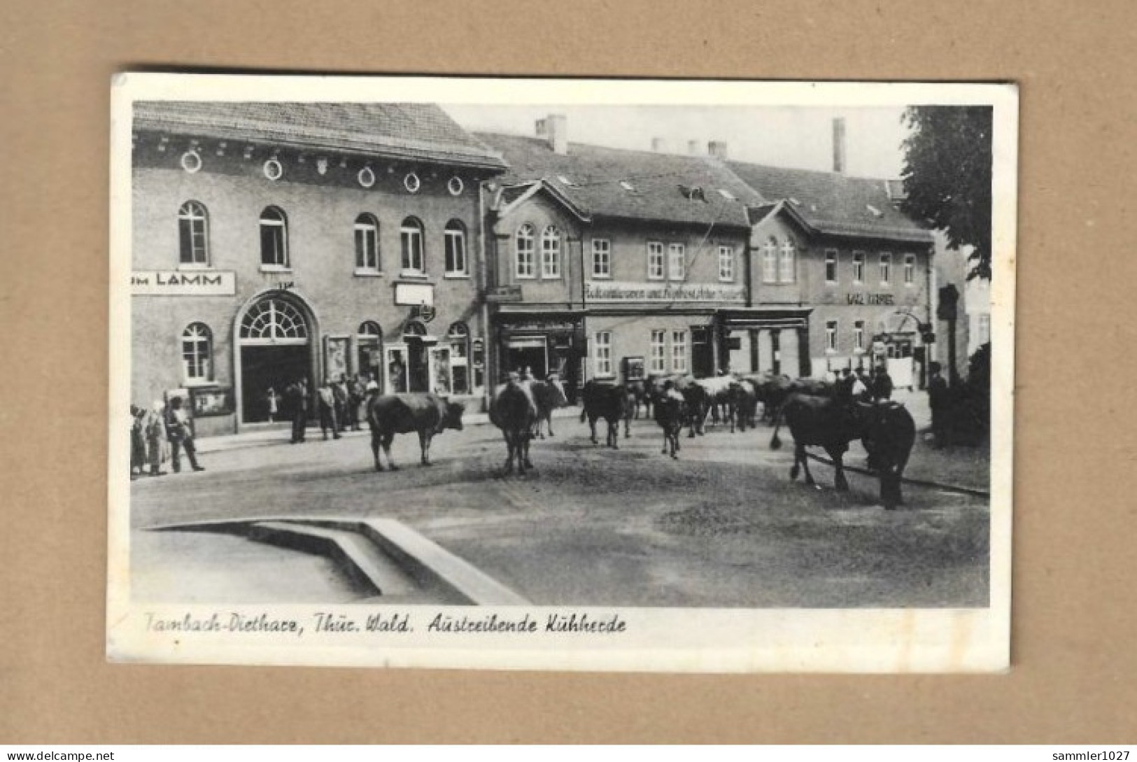 Los Vom 23.04 -  Ansichtskarte Tambach Dietharz 1948  Dorfstraße Mit Kühen - Tambach-Dietharz