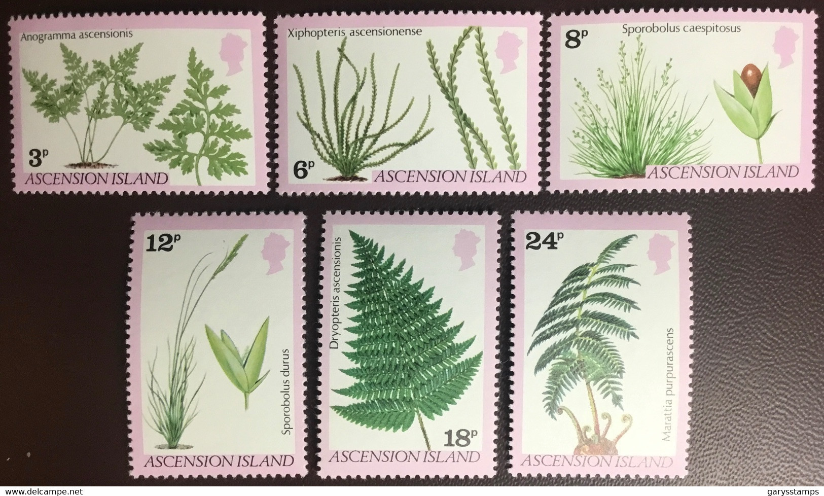 Ascension 1980 Ferns & Grasses MNH - Autres & Non Classés