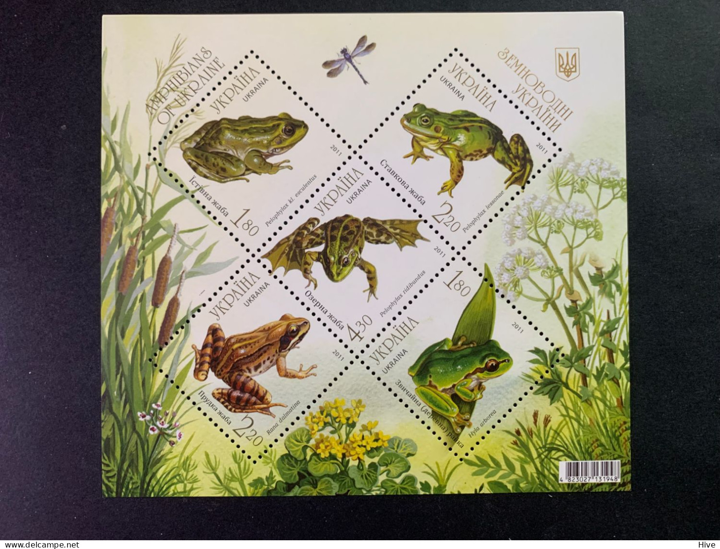 Ukraine 2012 . Frogs And Toads  MNH - Ucrania