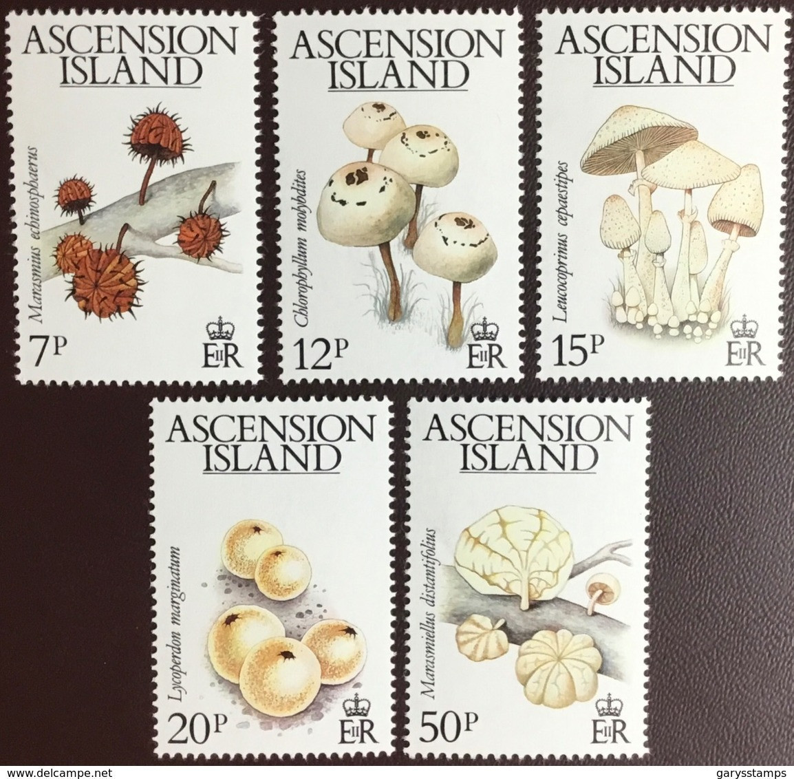 Ascension 1983 Fungi Mushrooms MNH - Mushrooms