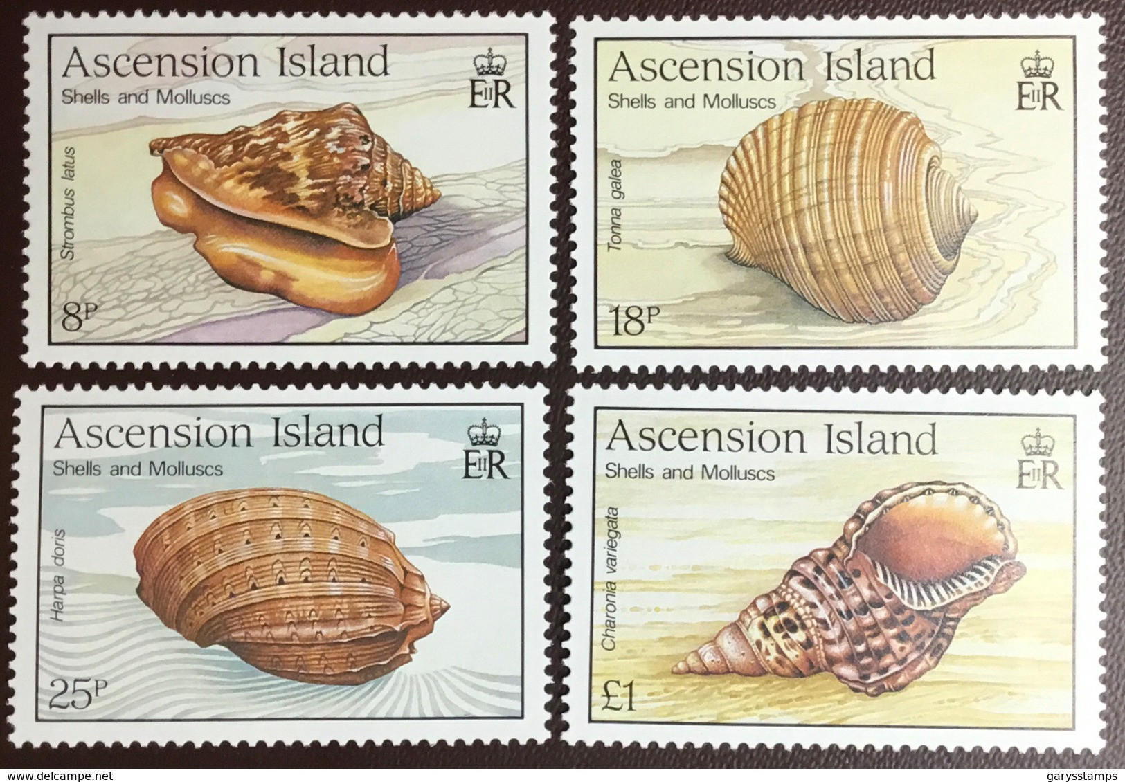 Ascension 1989 Sea Shells MNH - Conchas