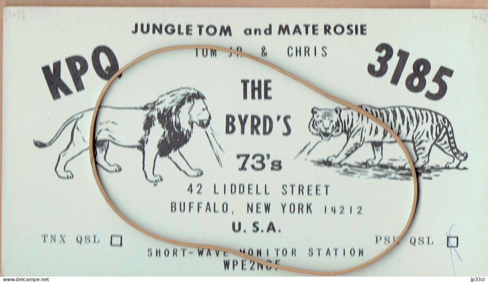 Tigre & Lion, Tiger & Lion, Tijger & Leeuw Sur CP De Buffalo, New York, USA, 1968 - Tigres